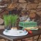 Bordallo Pinheiro- Mouse White Cheese Tray 32cm