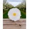 Bordallo Pinheiro-Maria Flor Beyaz Papatya Pasta Servis 23cm