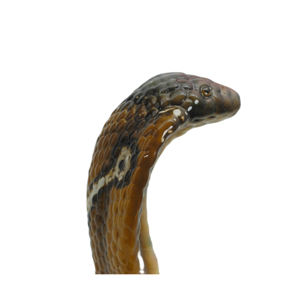 COBRA BİBLO 50 CM